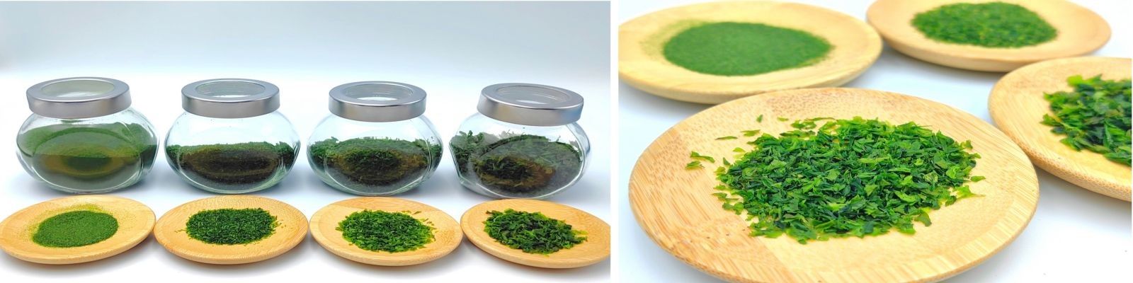 品質 アノリ乾燥海藻 工場